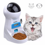 Iseebiz 3L Automatic Pet Feeder With Voice Record Pets Food Bowl For Medium Small Dog Cat - JNR Products