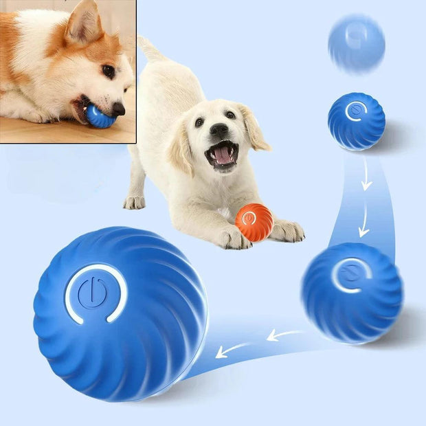 Dog Toy Ball Automatic Moving Bouncing Rolling Ball USB Smart puppy Interactive Dog Chew Toy Ball - JNR Products