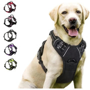 No Pull Dog Harness Front Clip Heavy Duty Reflective Easy Control Handle for Large Dog Walking - JNR Products