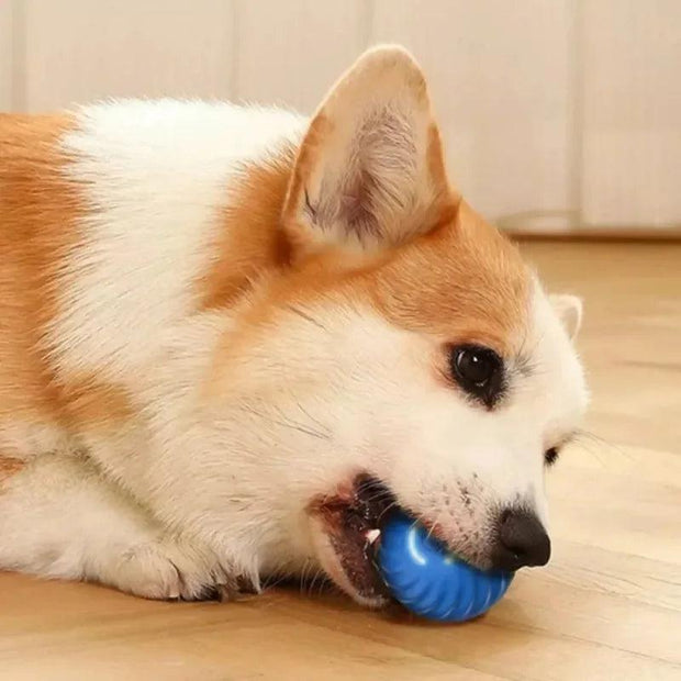 Dog Toy Ball Automatic Moving Bouncing Rolling Ball USB Smart puppy Interactive Dog Chew Toy Ball - JNR Products