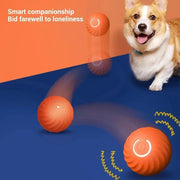 Dog Toy Ball Automatic Moving Bouncing Rolling Ball USB Smart puppy Interactive Dog Chew Toy Ball - JNR Products