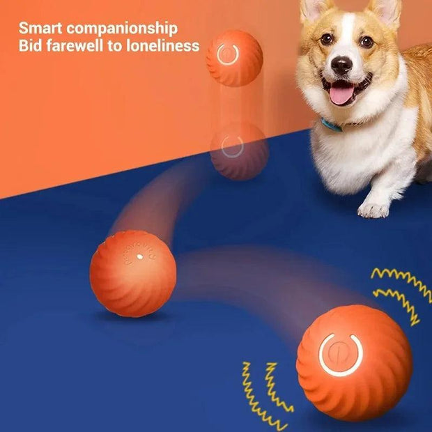 Dog Toy Ball Automatic Moving Bouncing Rolling Ball USB Smart puppy Interactive Dog Chew Toy Ball - JNR Products