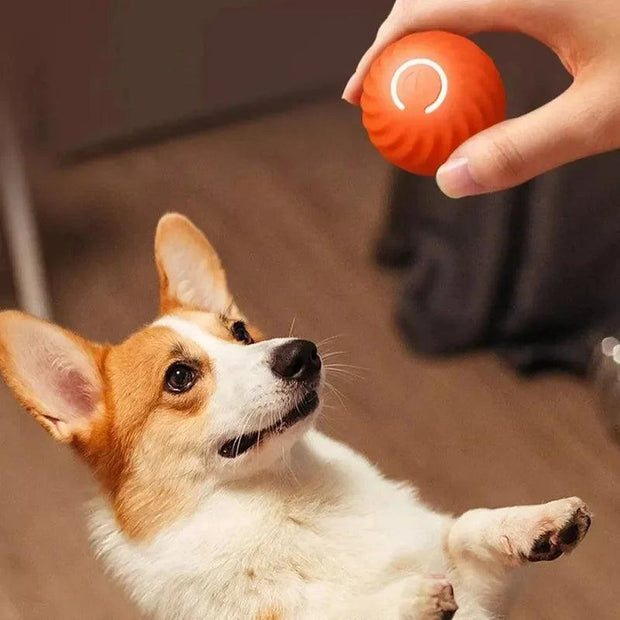 Dog Toy Ball Automatic Moving Bouncing Rolling Ball USB Smart puppy Interactive Dog Chew Toy Ball - JNR Products