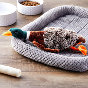 Vibrant Life Plush Duck Dog Toy with Honker - JNR Products