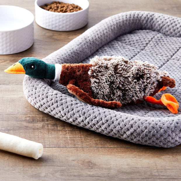 Vibrant Life Plush Duck Dog Toy with Honker - JNR Products