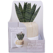 Better Homes & Gardens Aroma Accents Fragrance Plug, Snake Plant - JNR Products